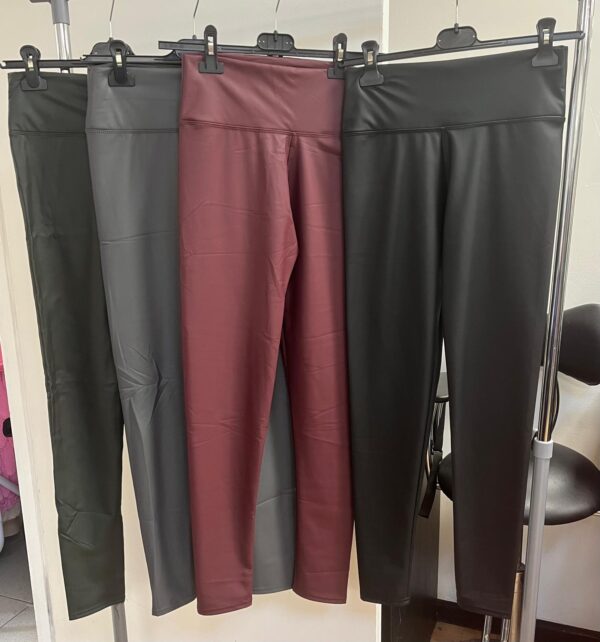 Faux Leather Pleather Vegan Leggings with Panel at Waist for Control - Lucile Range