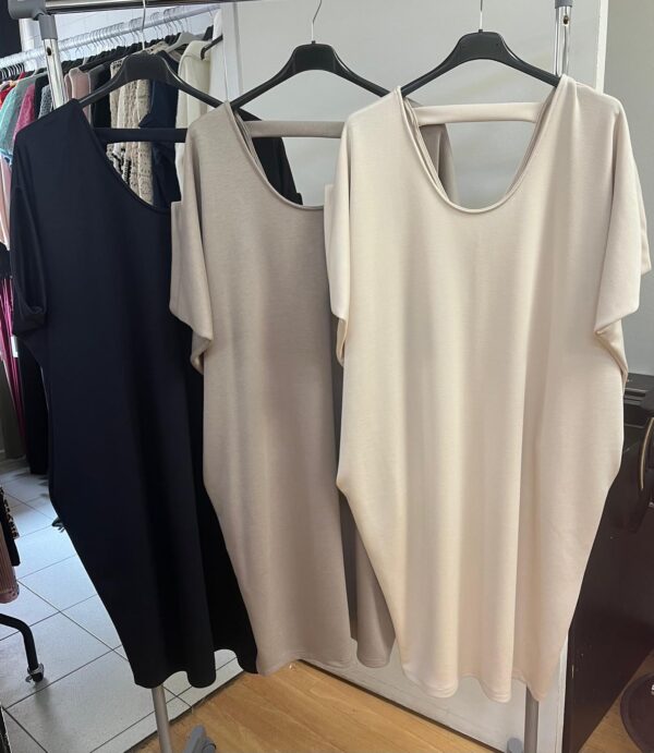 Ladies Jersey Bat Wing Dress In 3 Colours Round Neck Comfy Fit - Elizabeth Range
